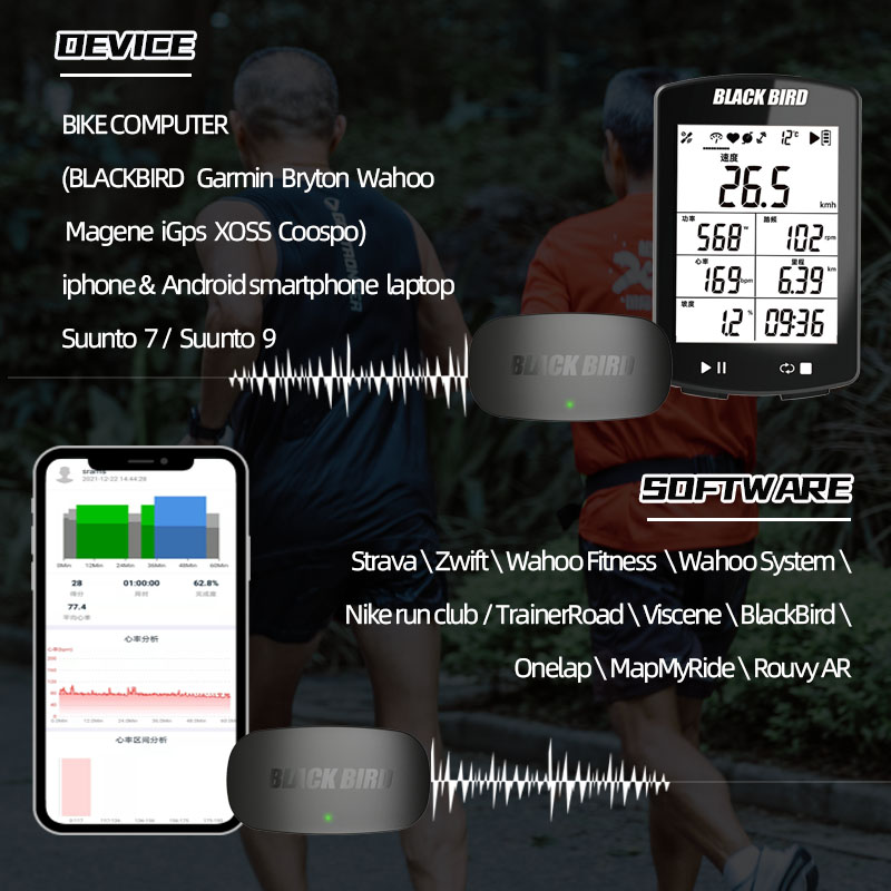 เซ็นเซอร์วัดอัตราการเต้นของหัว - Breath Rate Monitor บทวิจารณ์และราคา